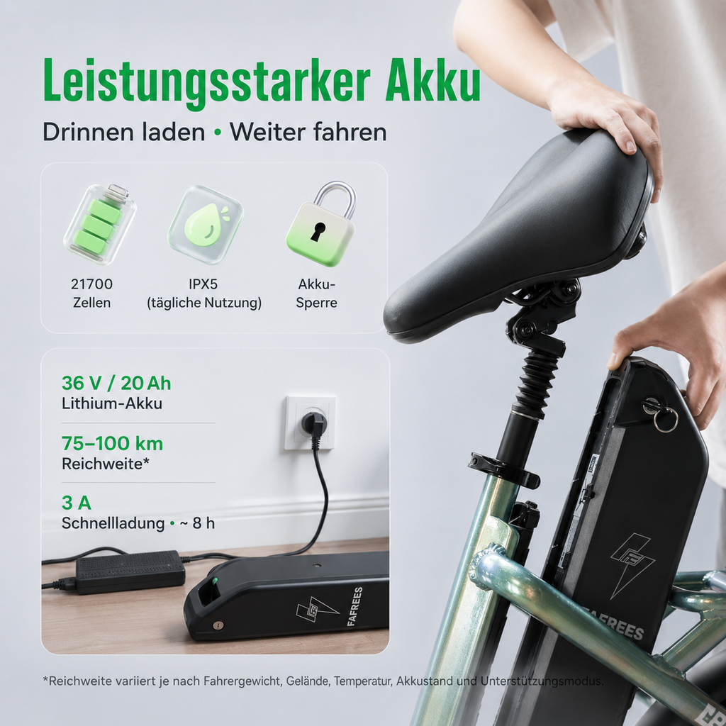 Veliroz F20 Fold Fafrees I Premium Klapp-E-Bike mit 95km