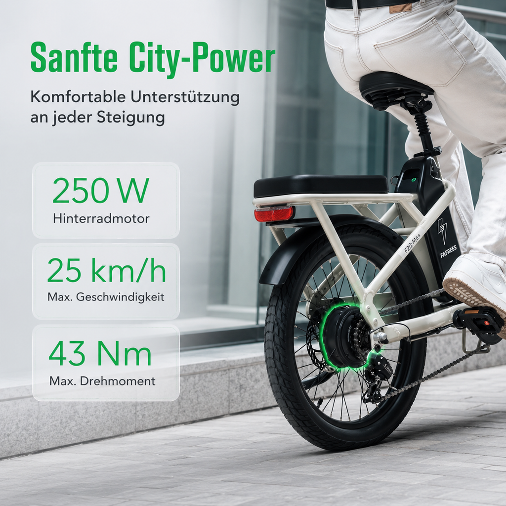 Veliroz F20 Fold Fafrees I Premium Klapp-E-Bike mit 95km